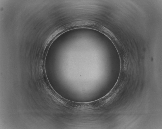 X0000074230786200609081620