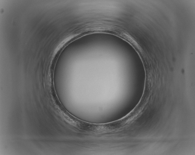 X0000074230787200609081620