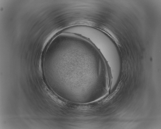 X0000074230788200609081620