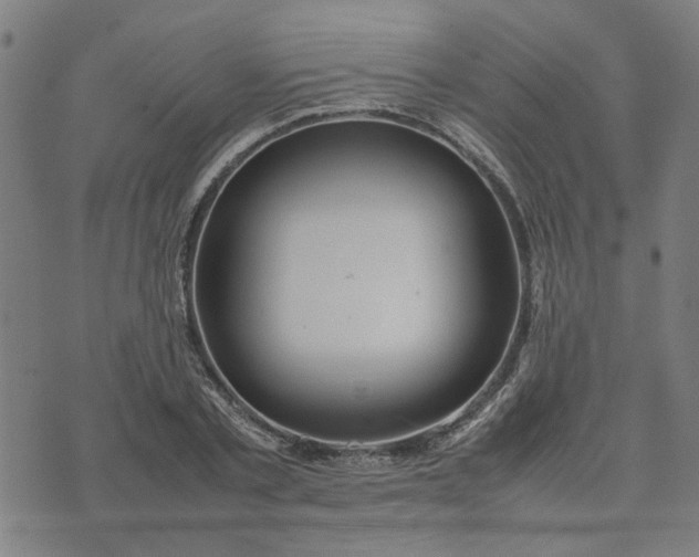 X0000074230789200609081620