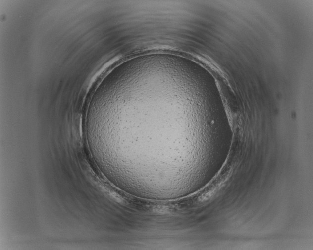 X0000074230790200609081620