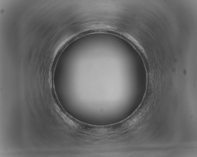 X0000074230791200609081620