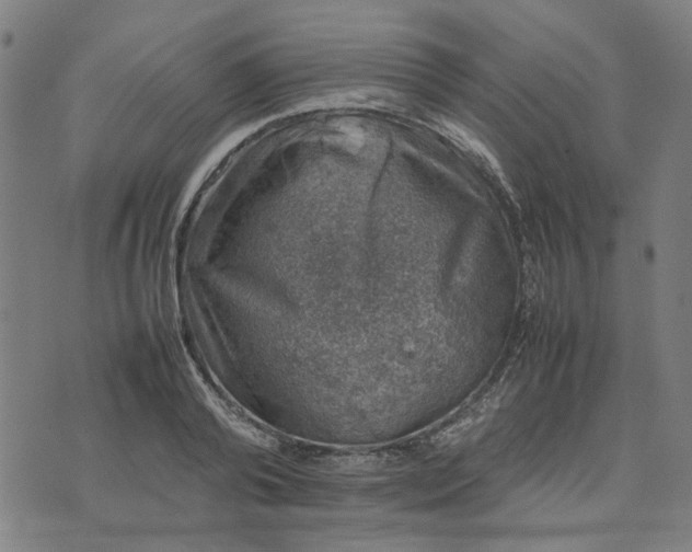 X0000074230792200609081620