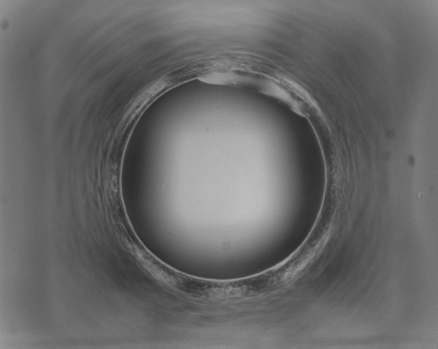 X0000074230793200609081620