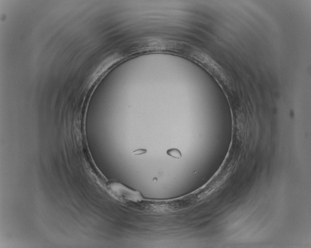 X0000074230794200609081620