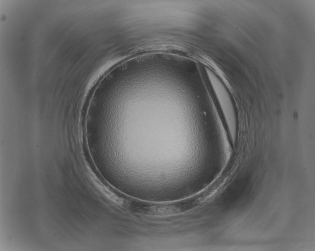 X0000074230795200609081620