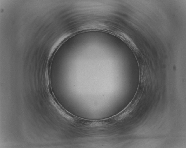 X0000074230796200609081620