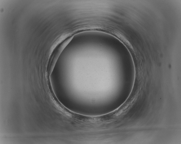 X0000074230797200609081620