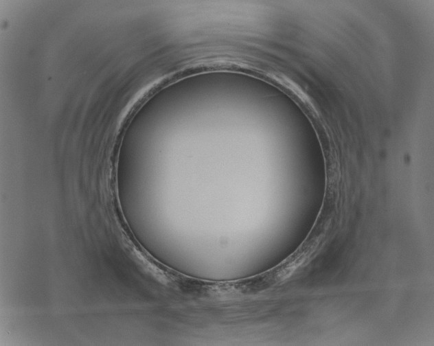 X0000074230799200609081620