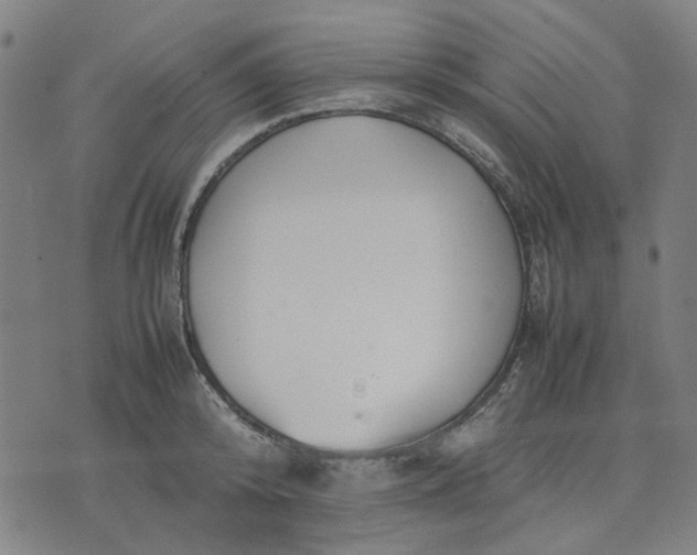 X0000074230800200609081620