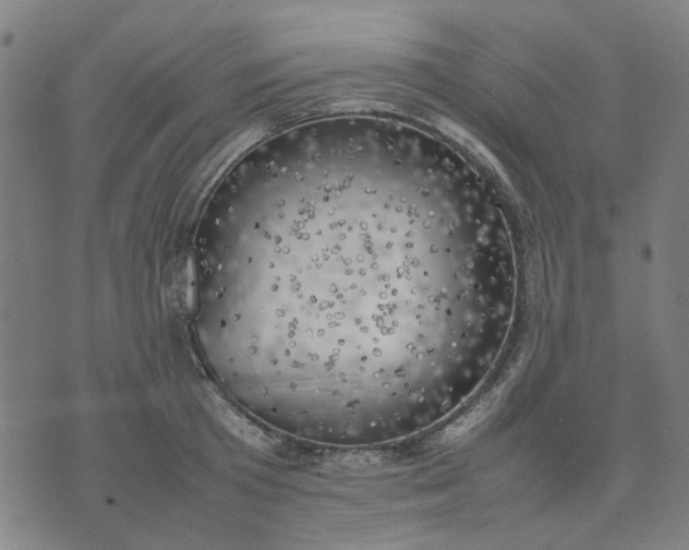 X0000074230801200609081620