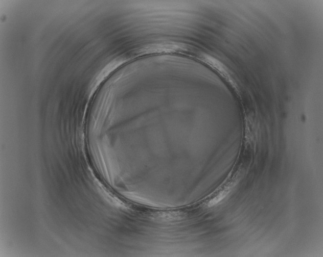 X0000074230802200609081619