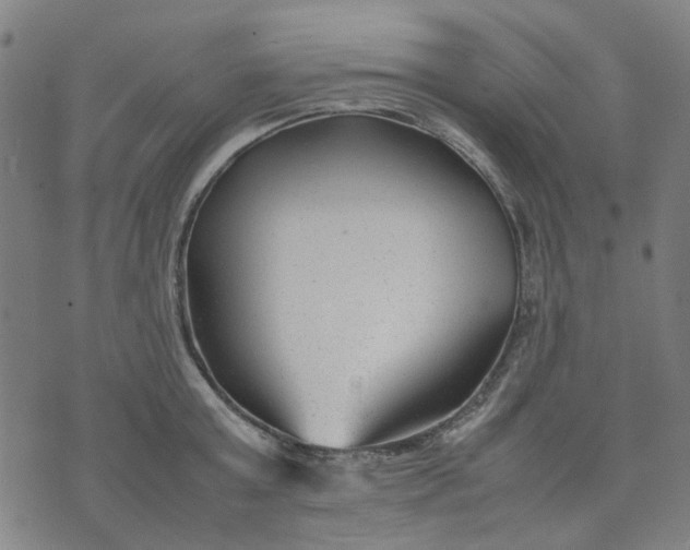 X0000074230803200609081619