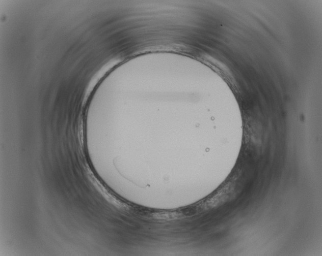 X0000074230804200609081619