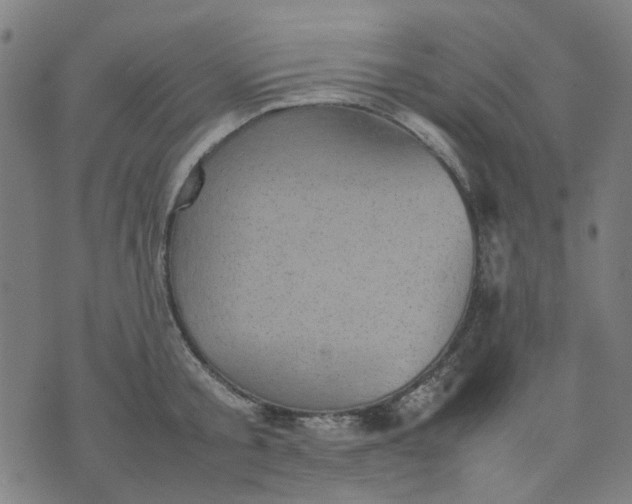 X0000074230805200609081619