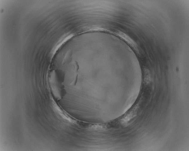 X0000074230806200609081619