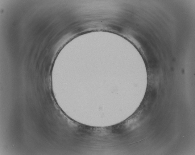 X0000074230807200609081619