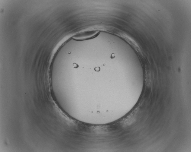 X0000074230808200609081619