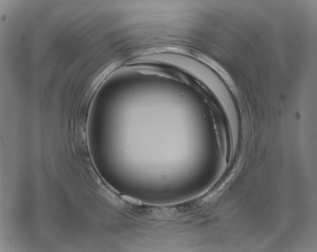 X0000074230809200609081619