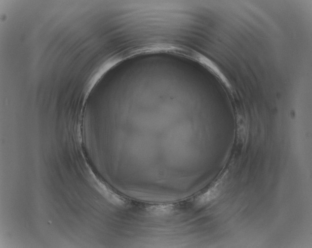 X0000074230810200609081619