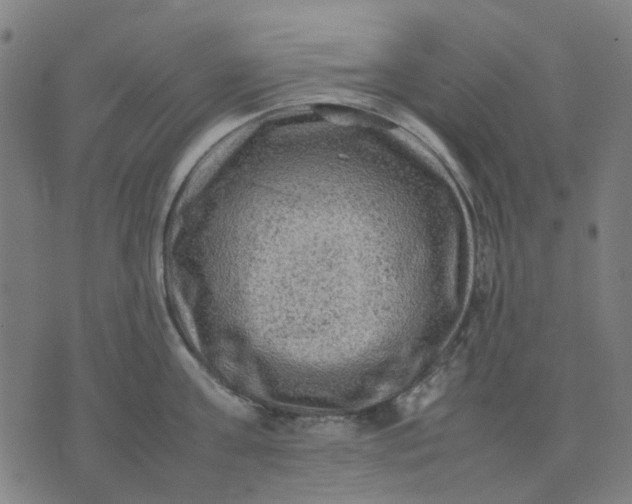 X0000074230811200609081619