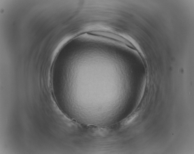 X0000074230815200609081619