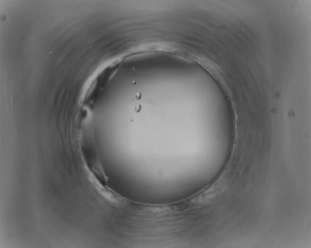 X0000074230816200609081619