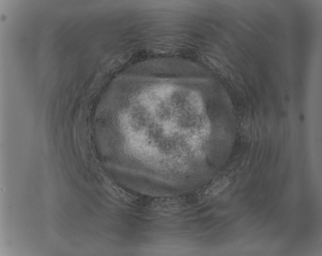 X0000074230817200609081618