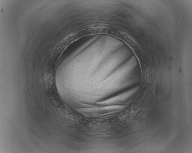 X0000074230821200609081619