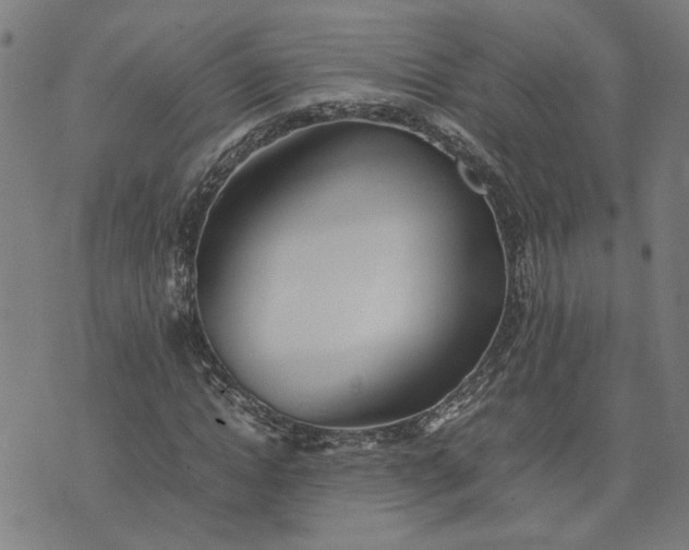 X0000074230822200609081619