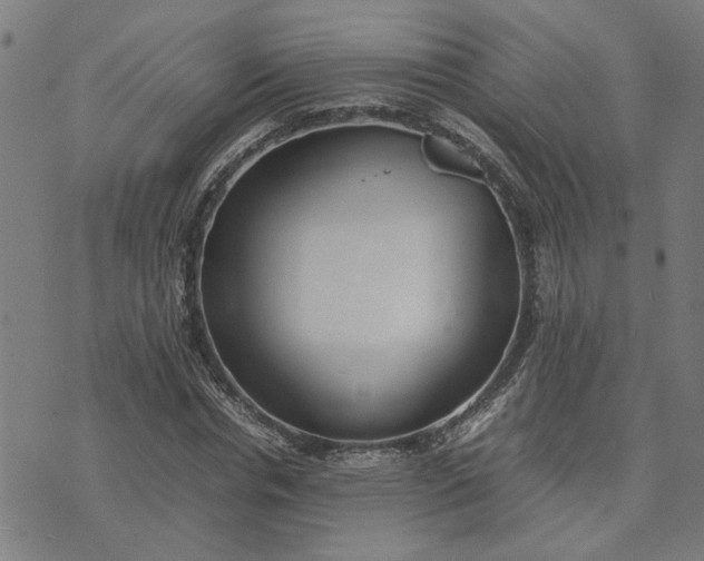 X0000074230826200609081619