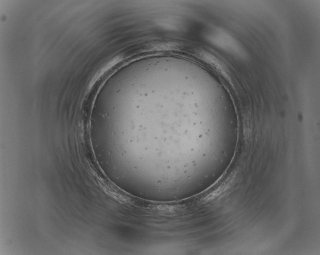 X0000074230827200609081619