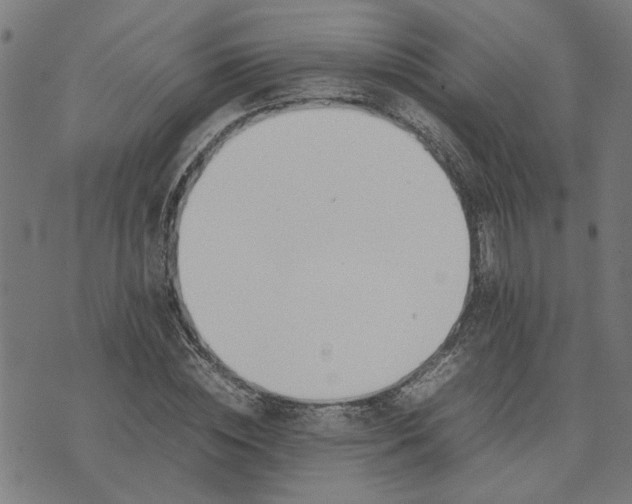 X0000074230828200609081619