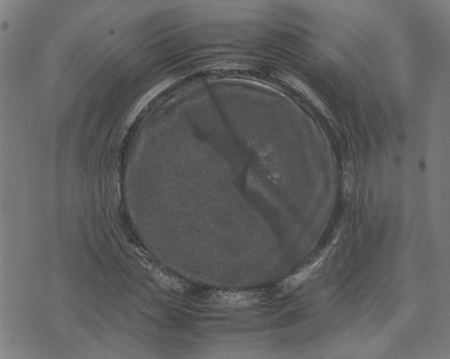 X0000074230829200609081619