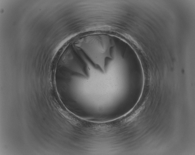 X0000074230830200609081619