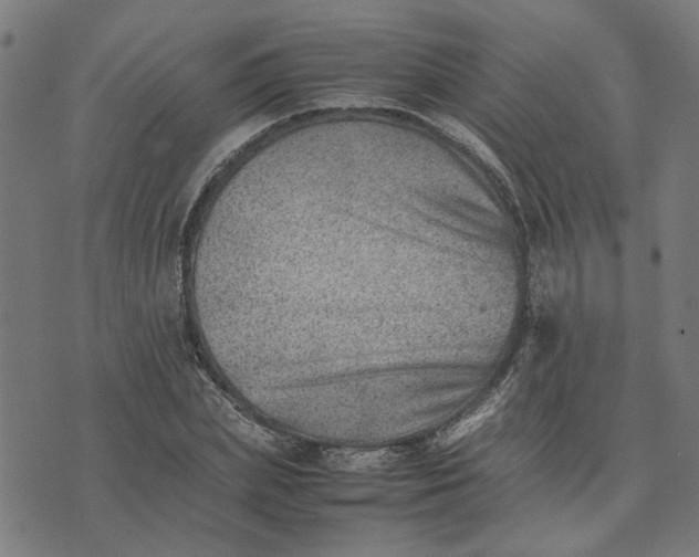 X0000074230831200609081619