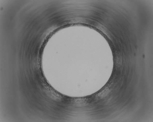 X0000074230832200609081619