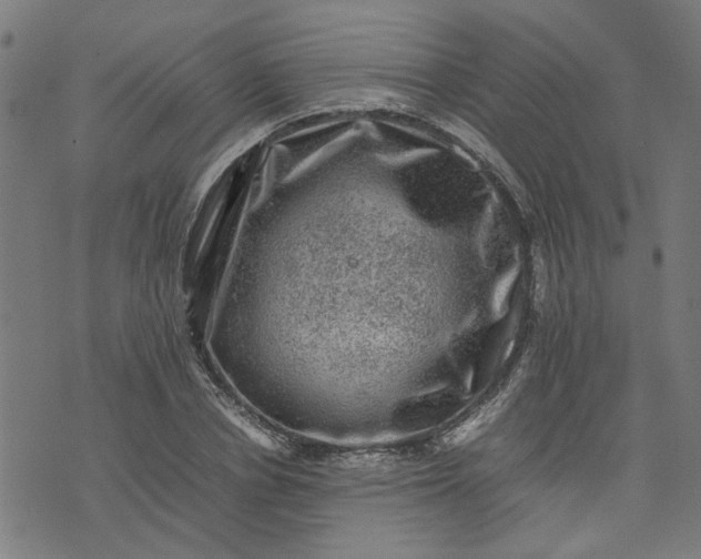 X0000074230834200609081619