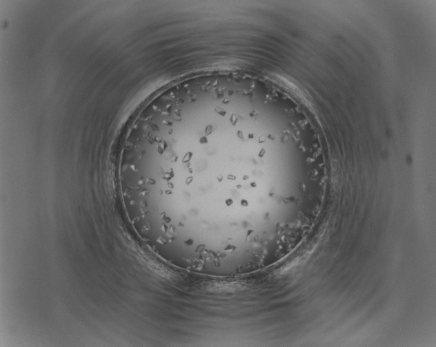 X0000074230835200609081619