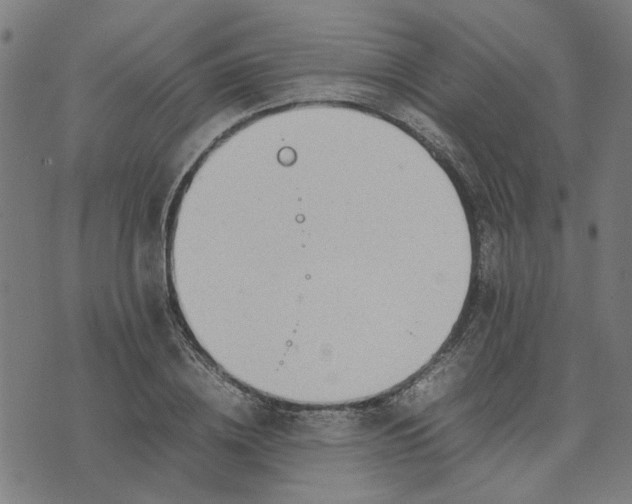 X0000074230836200609081619