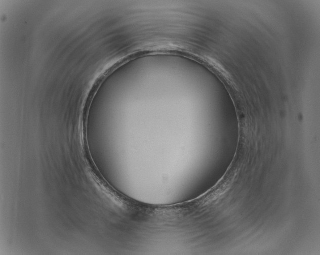 X0000074230840200609081619