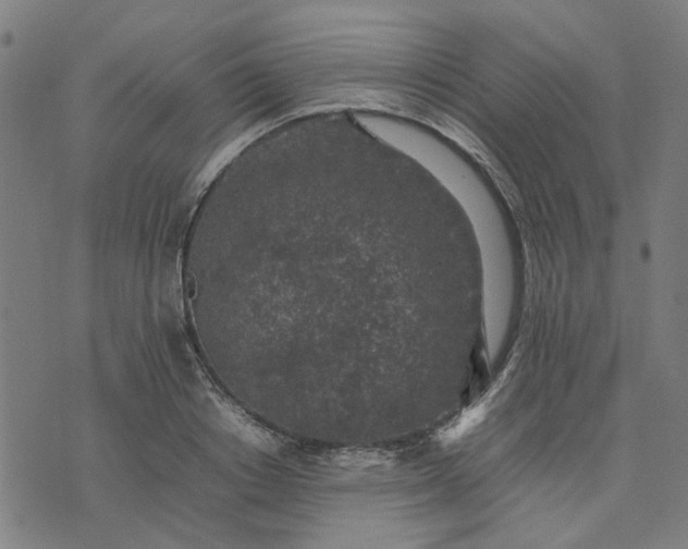 X0000074230842200609081619