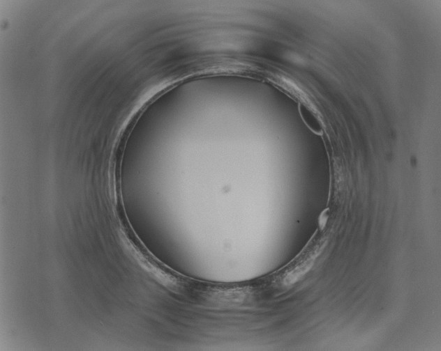 X0000074230843200609081619