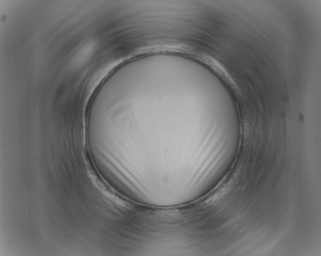 X0000074230844200609081619