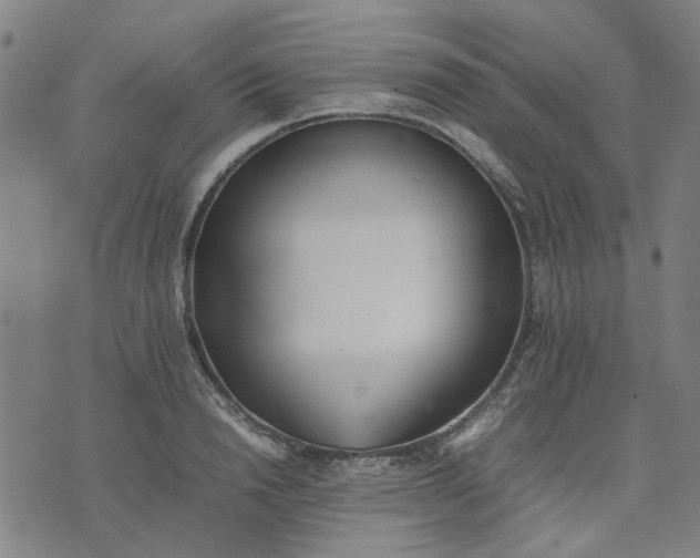 X0000074230846200609081619