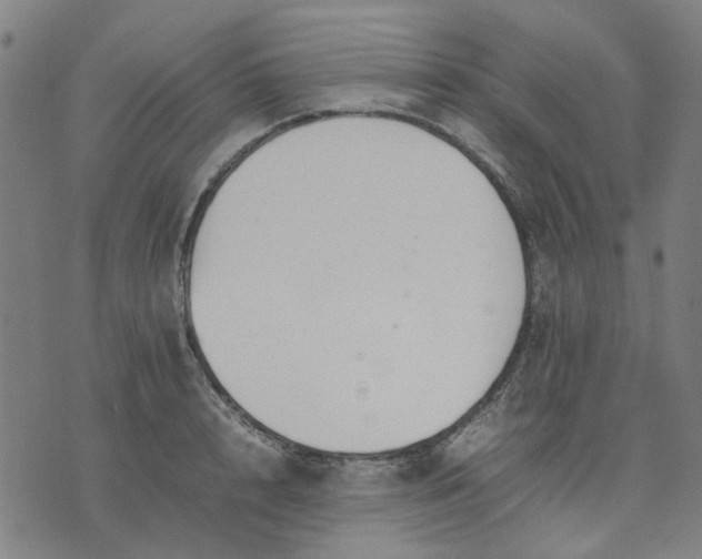 X0000074230848200609081619