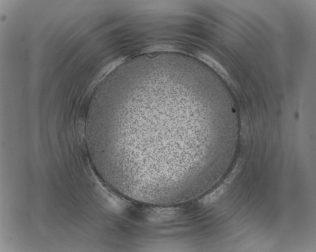 X0000074230849200609081619