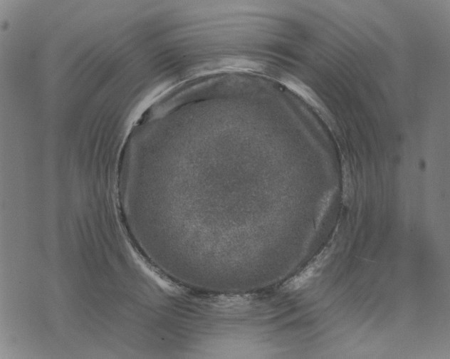 X0000074230850200609081619