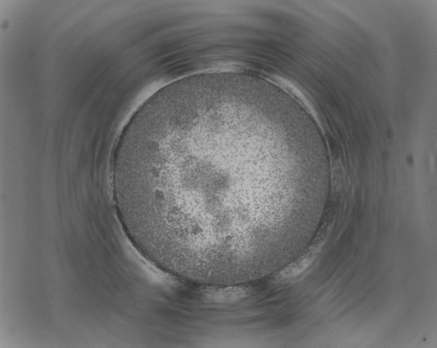 X0000074230851200609081619