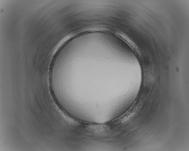 X0000074230853200609081619